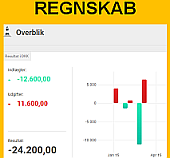 regnskab