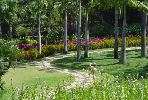 Dica de Viagem: Inhotim