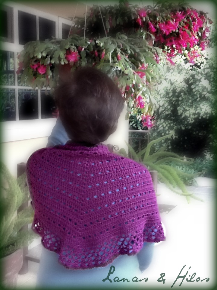 Lanas Hilos: SHAWL EVA