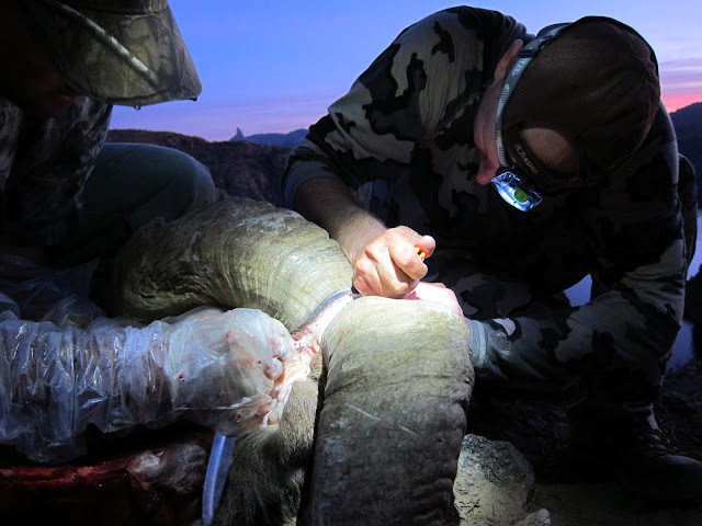 AZ+Unit+22+Desert+Bighorn+Sheep+Hunt+Photos+with+Jayscottoutdoors+27.JPG