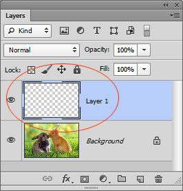 sử dụng layer panel trong photoshop