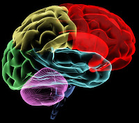 "behavioral health" "behavioral health"/