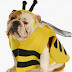 Πώς αποφεύγονται τα τσιμπήματα από τις μέλισσες;