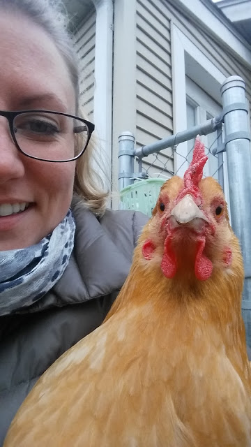 raising chickens