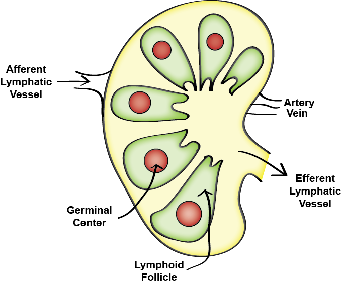 Poor Hungry And Drowsy November 2011