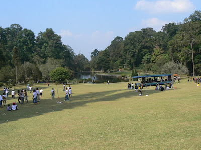 lapangan kebun raya cibodas taman kebun raya cibodas