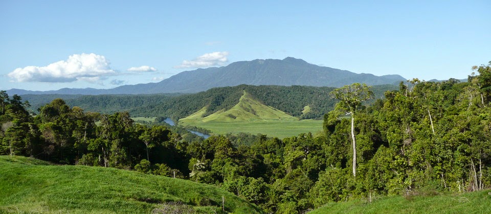 Daintree Valley Haven