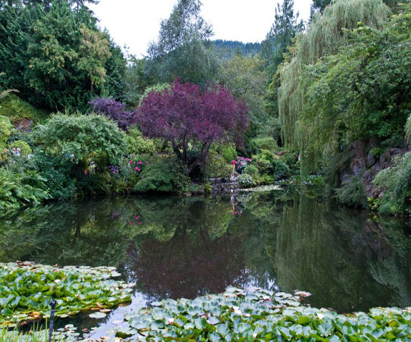 [Image: butchart-gardens-vuon-hoa-xinh-dep-cua-canada-11.jpg]