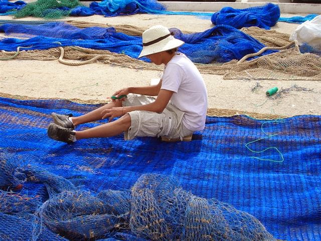 fisch zweimal einfrieren