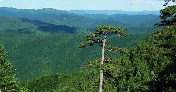 things nature parks things nature parks