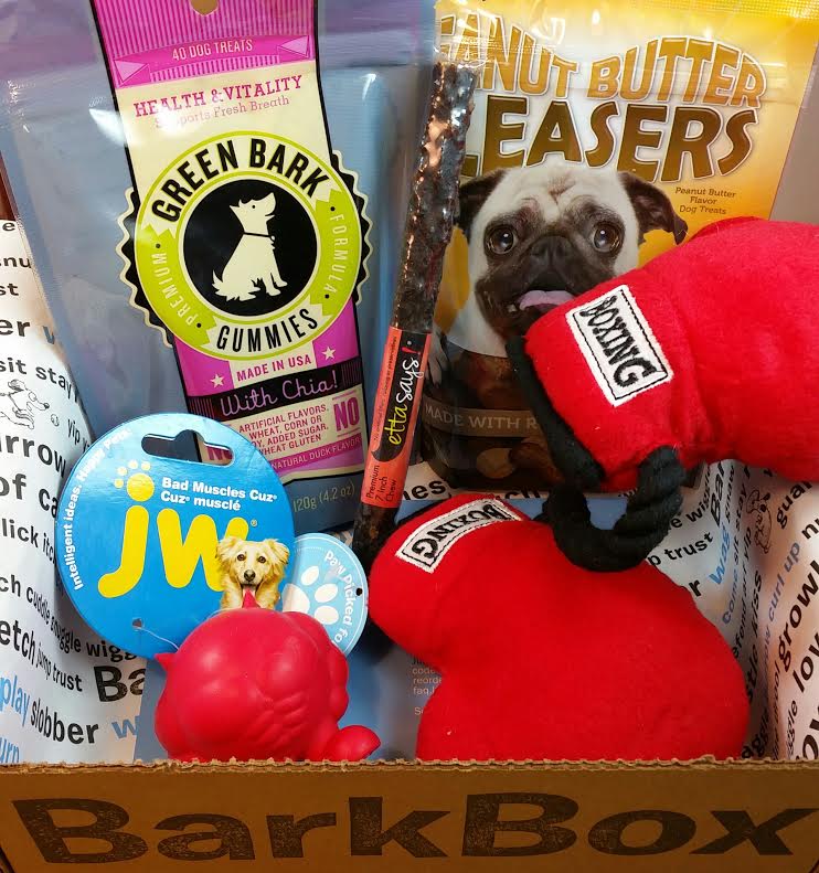 Barkbox April 2015 "Fitness" Small Dog Box Review and Free Box Offer