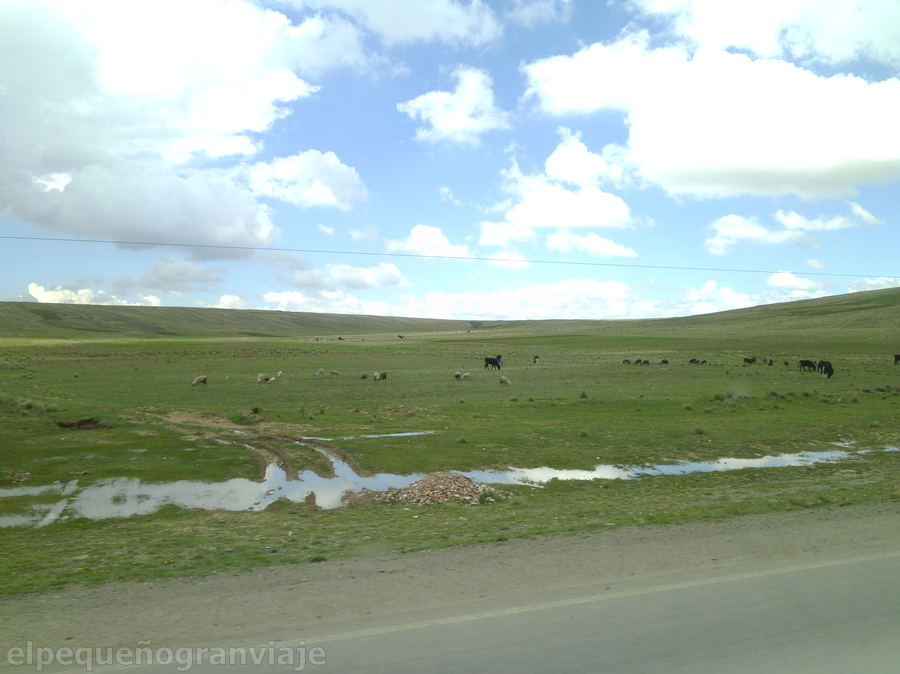 Bolivia