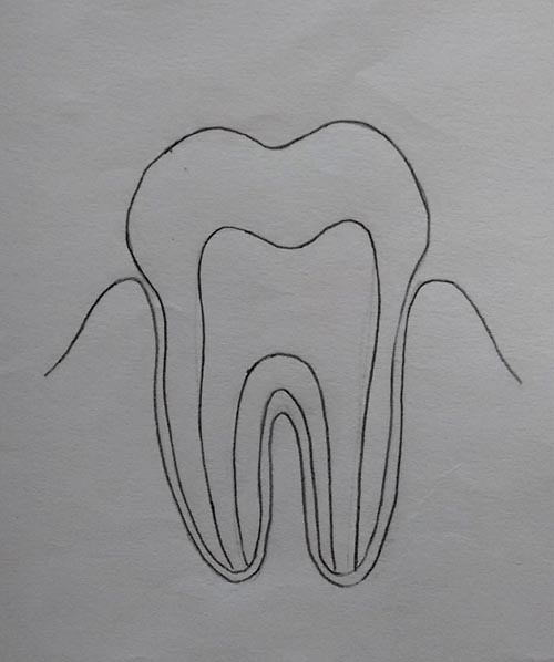 draw different types teeth