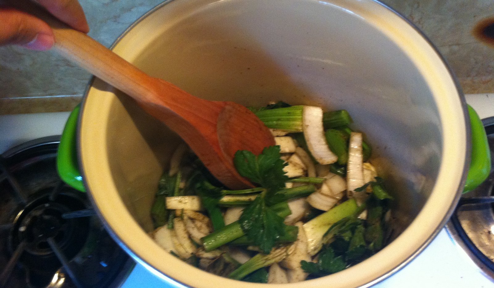 Homemade Fish Stock Shelly in Real Life