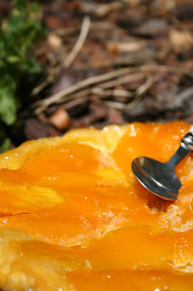 tarte tatin mangue et noix de coco Juillet+2011+009