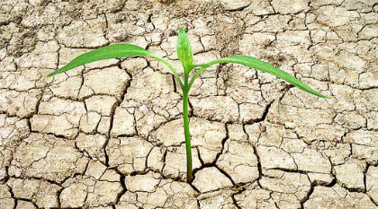 4.bp.blogspot.com/-Du8T8NCOm3M/VkyOlLTFAPI/AAAAAAAAAZs/7VkRgF1md5I/s1600/planta%2Bem%2Bterra%2Bseca.jpg