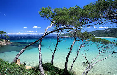 Organisation Journée Incentive Porquerolles