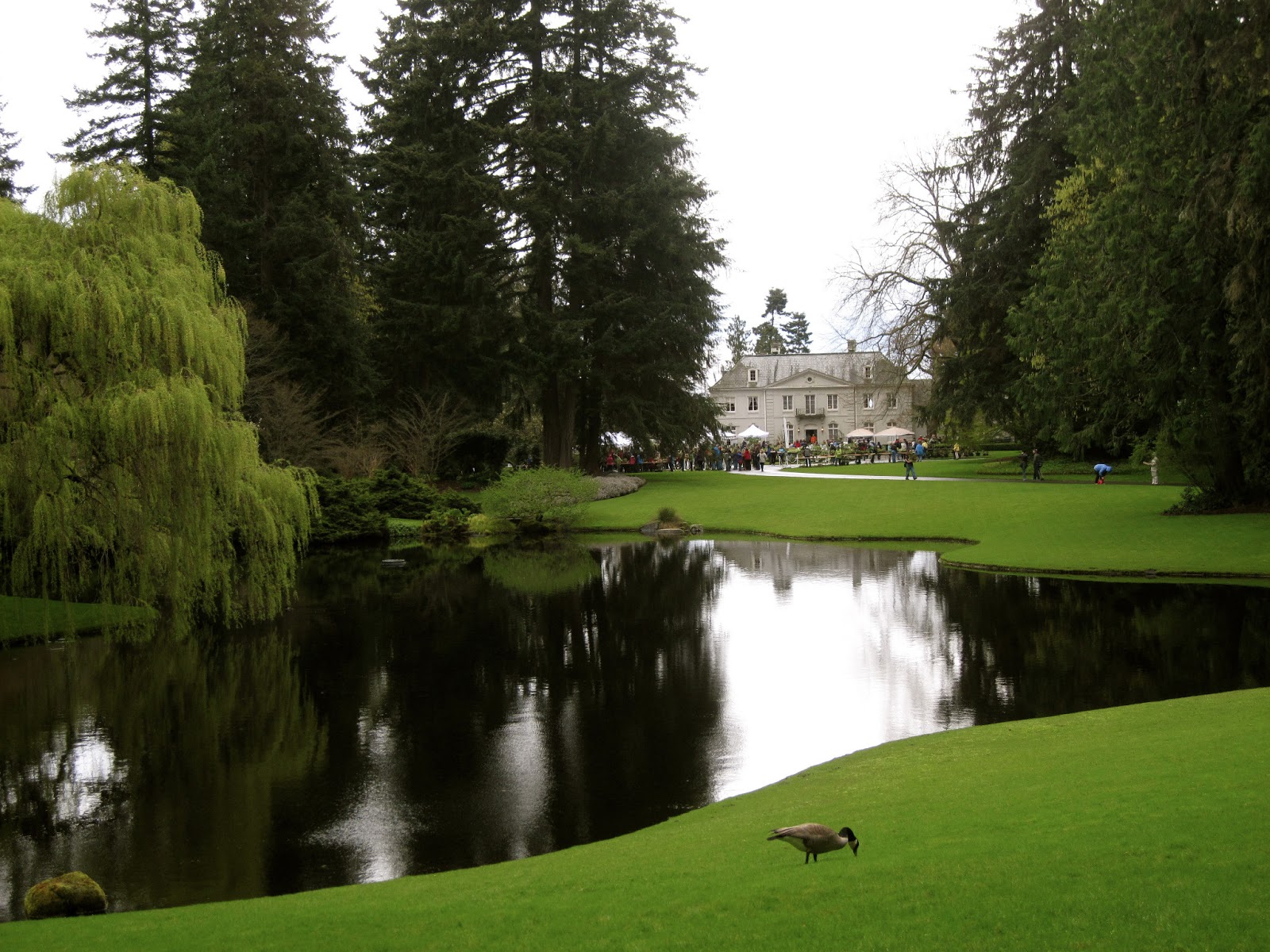  BLOEDEL RESERVE