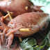 Ketupat Sotong Kegemaran Keluarga Di Nur Qaseh
