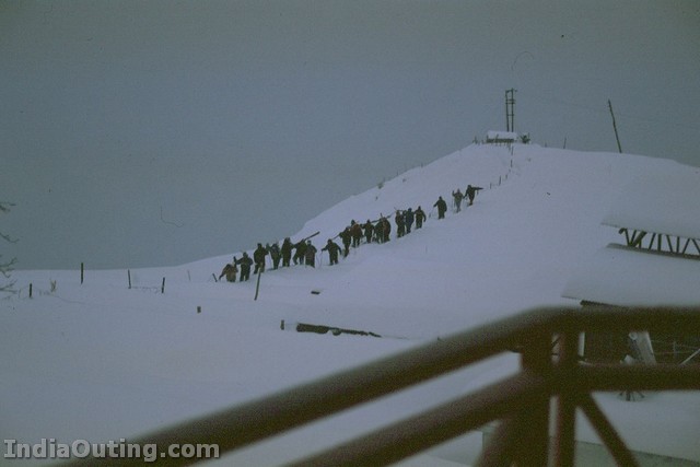 Auli Joshimath