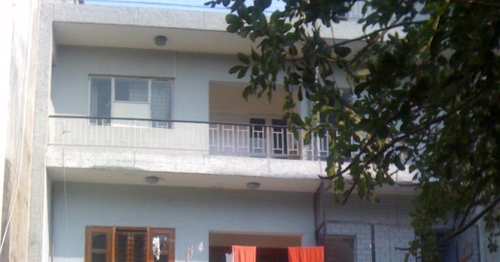 The Crazy Man In The Window