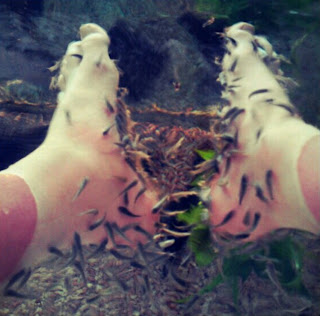 Greyson Chance Bare feet in a fish tank spa Greyson Chance Bare feet in a fish tank spa