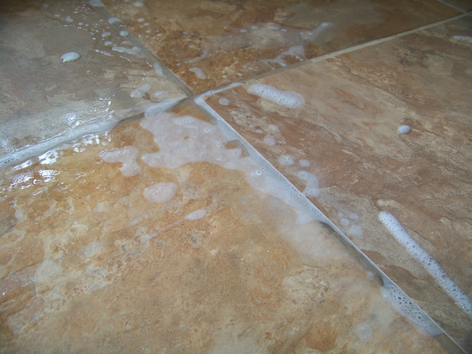 The Ferrell Boys and Me . . . Makeover Monday Grout Cleaning