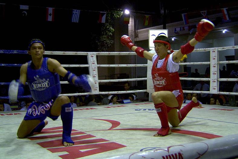 Fighting Style Muay Thai vs Taekwondo Is Taekwondo Effective?