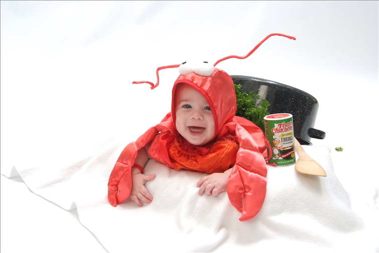 my favorite recipes header my favorite recipes header