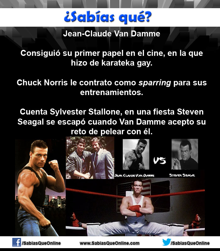 siamesas hensel siamesas hensel