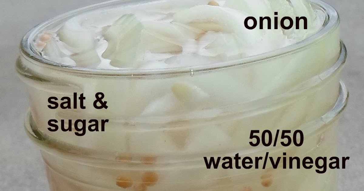 Happier Than A Pig In Mud Refrigerator Pickled Onions and A Bloggy Blooper