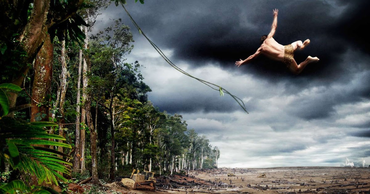 Deforestation facts for kids picture