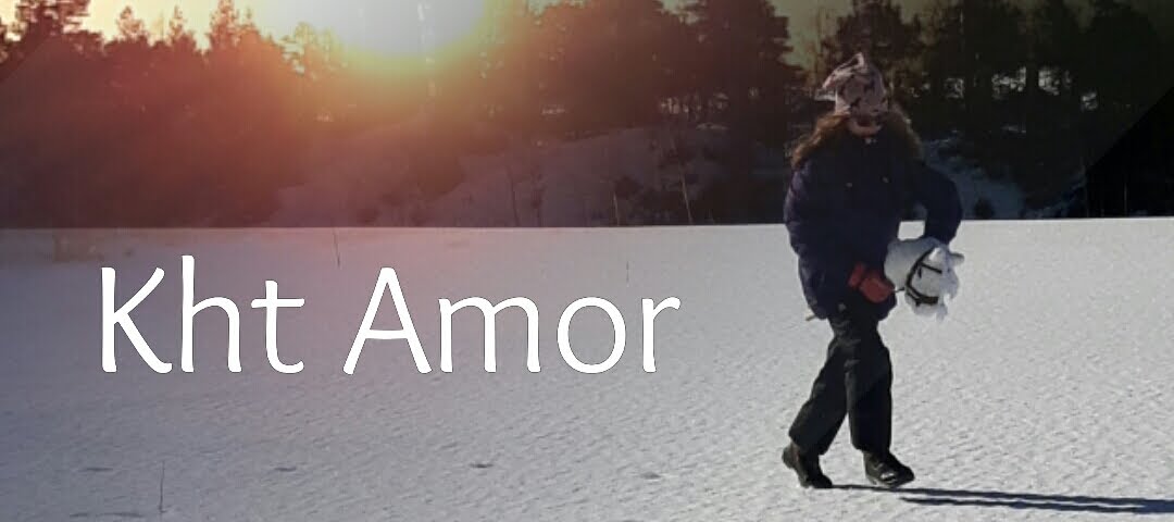 Keppihevostalli Amor