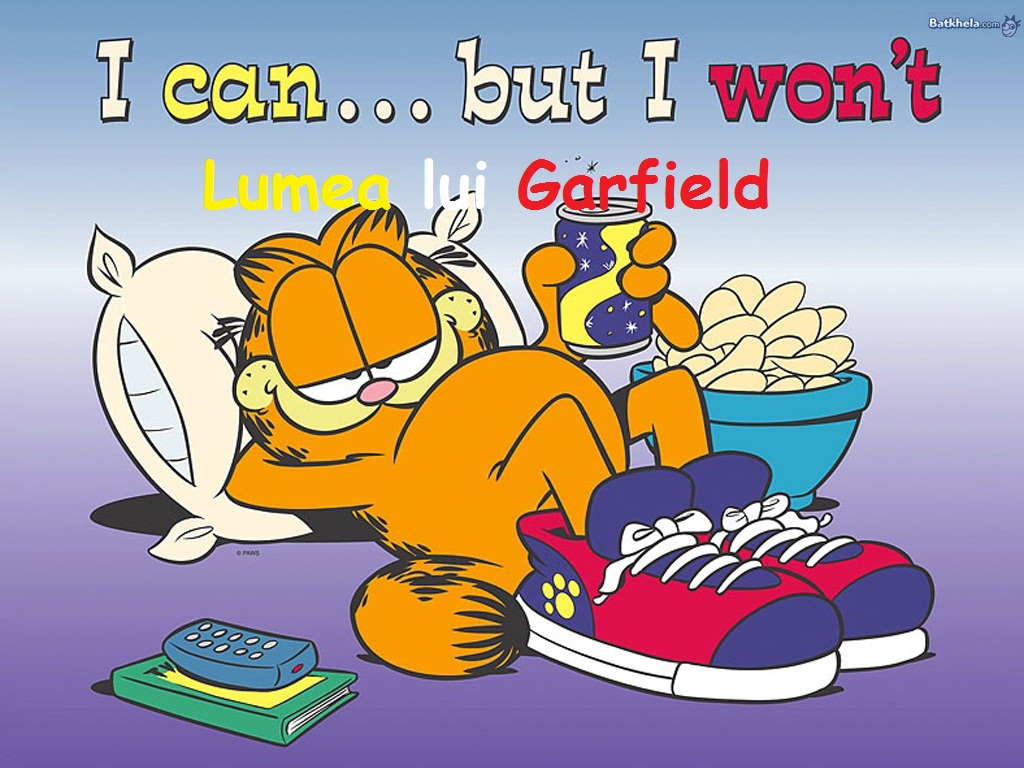 Lumea lui Garfield