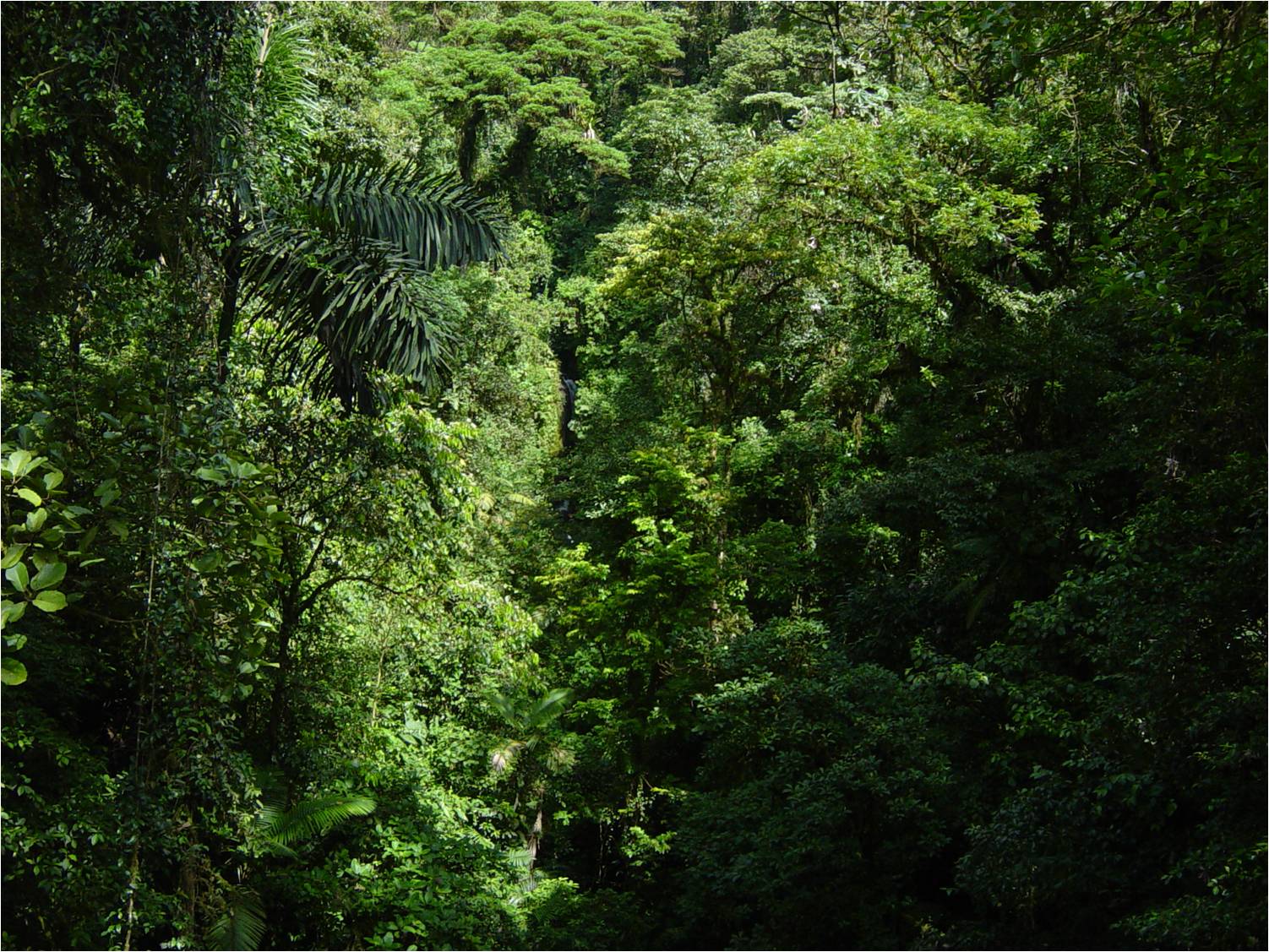 Paisajismo, pueblos y jardines: octubre 2012