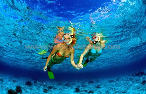 Objek Wisata di Bali - Fantastic Snorkeling Nusa Candi Dasa,Tempat Wisata di Bali Indonesia, objek wisata di bali,objek wisata di balikpapan,objek wisata di bali timur,objek wisata di bali selatan,objek wisata di bali 2015,objek wisata di bali utara,objek wisata di bali barat,objek wisata di bali dalam bahasa inggris,objek wisata di balige,objek wisata di bali untuk anak-anak,objek wisata di bali yang wajib dikunjungi,objek wisata di bali yang terkenal,objek wisata di bali yang jarang dikunjungi,tempat wisata di bali ala backpacker,tempat wisata di bali apa aja,tempat wisata di bali amed,tempat wisata di amlapura bali,tempat wisata di bali untuk anak anak,tempat wisata di bali untuk anak kecil,tempat wisata di bali yang ada monyetnya,obyek wisata anak di bali,obyek wisata yang ada di bali,obyek wisata di bali selatan,obyek wisata di bali utara,obyek wisata di bali bedugul,objek wisata terbaru di bali,objek wisata di bali bagian timur,objek wisata di bali bahasa inggris,objek wisata di bali beserta penjelasannya,objek wisata di bali bedugul,objek wisata di bali bagian selatan,objek wisata di bali beserta gambar,objek wisata di bali bagian barat,objek wisata di bali blog,tempat wisata di bali bagian selatan,tempat wisata di bali candidasa,tempat wisata di canggu bali,tempat wisata di bali yang cocok untuk anak-anak,tempat wisata di bali yang cocok untuk pacaran,tempat wisata di bali,obyek wisata bali cening bagus,contoh objek wisata di bali,cerita tentang objek wisata di bali,contoh makalah objek wisata di bali,cerita objek wisata di bali,objek wisata di bali dan harga tiket masuk,objek wisata di bali dan penjelasannya,objek wisata di bali dan gambarnya,objek wisata di bali denpasar,objek wisata di bali dan keterangannya,objek wisata di bali dan harganya,objek wisata di bali daerah kuta,objek wisata di bali dan lombok,tempat wisata di bali dan penjelasannya,tempat wisata di bali tirta empul,tempat wisata di bali yang eksotis,entrance fee objek wisata di bali,tempat wisata di bali favorit,obyek wisata favorit di bali,tempat wisata di bali foto,tempat wisata di bali monkey forest,foto obyek wisata di bali,obyek wisata bali favorit,foto objek wisata di bali,kumpulan foto objek wisata di bali,obyek wisata di bali gwk,tempat wisata di bali gwk,tempat wisata di bali gianyar,tempat wisata di gilimanuk bali,tempat wisata di bali tirta gangga,obyek wisata di kabupaten gianyar bali,tempat wisata di bali dekat gilimanuk,obyek wisata bali gratis,tempat wisata di bali yang harus dikunjungi,tempat wisata di bali dan harga tiket masuk,tempat wisata di bali untuk honeymoon,tempat wisata di bali yg harus dikunjungi,tempat wisata di bali malam hari,tempat wisata di bali beserta harganya,objek wisata di bali yang harus dikunjungi,tempat wisata di bali beserta harga,tempat wisata di bali dan harga,objek wisata di bali indonesia,tempat wisata di bali indonesia,tempat wisata di bali yang indah,tempat wisata di bali yg indah,tempat wisata di bali dalam bahasa inggris,tempat wisata di bali yang paling indah,obyek wisata bali indonesia,objek wisata di bali menggunakan bahasa inggris,objek wisata di bali berbahasa inggris,tempat wisata di bali joger,obyek wisata di jimbaran bali,objek wisata di jembrana bali,tempat wisata di jatiluwih bali,tempat wisata di bali sesuai jalur,tempat wisata di bali yang masih jarang dikunjungi,tempat wisata di sekitar jimbaran bali,tempat wisata di daerah jimbaran bali,jarak tempuh obyek wisata di bali,tempat wisata di bali yang jarang dikunjungi,objek wisata di bali kabupaten badung,tempat wisata di bali kuta,obyek wisata di kintamani bali,tempat wisata di bali kaskus,tempat wisata di bali karangasem,objek wisata di bali kuta,tempat wisata di klungkung bali,objek wisata di kota denpasar,tempat wisata di kute bali,objek wisata di kabupaten bali,objek wisata di bali lengkap,tempat wisata di bali legian,tempat wisata di bali lovina,tempat wisata di bali tanah lot,tempat wisata di bali dan lombok,tempat wisata di bali berdasarkan lokasi,tempat wisata di bali pantai lovina,tempat wisata di bali dekat legian,tempat wisata di bali daerah legian,objek wisata di nusa lembongan bali,objek wisata di bali murah,tempat wisata di bali murah,tempat wisata di bali murah meriah,tempat wisata di bali map,tempat wisata di bali monyet,tempat wisata di mengwi bali,tempat wisata di bali yang menarik,tempat wisata di bali yang murah dan bagus,tempat wisata di bali nusa dua,obyek wisata di negara bali,tempat wisata di negara bali,objek wisata di negare bali,nama obyek wisata di bali,daftar nama obyek wisata di bali,daftar nama objek wisata di bali,objek wisata taman nusa di bali,objek wisata di nusa penida bali,tempat wisata di bali untuk orang tua,obyek obyek wisata di bali,tiket masuk objek-objek wisata di bali,objek wisata di bali pantai kuta,objek wisata di bali pantai sanur,tempat wisata di bali paling bagus,tempat wisata di bali pantai dreamland,tempat wisata di bali paling indah,tempat wisata di bali paling terkenal,tempat wisata di bali pulau penyu,tempat wisata di bali penglipuran,obyek wisata di p bali,tempat wisata di renon bali,tempat wisata di bali sesuai rute,tempat wisata di bali untuk remaja,tempat wisata di bali yang ramai dikunjungi,tempat wisata di bali yang recommended,rute obyek wisata di bali,objek wisata religi di bali,rute objek wisata di bali,objek wisata romantis di bali,rekomendasi objek wisata di bali,objek wisata di bali selain pantai,obyek wisata di sekitar denpasar,obyek wisata di singaraja bali,obyek wisata di seminyak bali,objek wisata di seminyak bali,tempat wisata di bali selain pantai,obyek wisata sangeh di bali,tempat wisata di denpasar dan sekitarnya,objek wisata di bali sangeh,objek wisata di bali tanah lot,objek wisata di bali tengah,objek wisata di bali tanjung benoa,tempat wisata di bali terkenal,tempat wisata di bali tengah,tempat wisata di bali terbaik,tempat wisata di bali utara,obyek wisata di ubud bali,tempat wisata di bali untuk balita,tempat wisata di bali uluwatu,tempat wisata di bali untuk backpacker,video obyek wisata di bali,video objek wisata di bali,objek wisata di bali wikipedia,tempat wisata di bali wajib dikunjungi,tempat wisata di bali wajib,tempat wisata di bali berdasarkan wilayah,obyek wisata di bali,objek wisata di bali yang wajib di kunjungi,objek wisata di bali yang menarik,objek wisata di bali yang belum terkenal,objek wisata di bali yang bagus,objek wisata di bali yang menawarkan panorama pegunungan,objek wisata di bali yang murah,objek wisata di bali yang tersembunyi,obyek wisata bali zoo,obyek wisata bali zoo park,objek wisata ziarah di bali,10 obyek wisata di bali,10 objek wisata di bali,100 objek wisata di bali,objek wisata di bali 2015,obyek wisata di bali 2016,tempat wisata baru di bali 2015,tempat wisata baru di bali 2016,tempat wisata terbaru di bali 2015,tempat wisata menarik di bali 2016,harga tempat wisata di bali 2015,tempat 2 wisata di bali,3 objek wisata di bali,tempat wisata di bali untuk 4 hari,5 objek wisata di bali,50 objek wisata di bali,5 tempat wisata di bali,5 tempat wisata terbaik di bali,5 tempat wisata di pulau bali,7 objek wisata di tabanan bali,7 tempat wisata di bali,7 tempat wisata terindah di bali,9 tempat wisata di bali,10 objek wisata terbaik di bali,10 objek wisata terkenal di bali,10 objek wisata buatan di bali,10 tempat wisata di bali,10 tempat wisata di bali yang wajib dikunjungi,10 tempat wisata di bali beserta penjelasannya,10 tempat wisata terbaik di bali,top 10 tempat wisata di bali,10 tempat wisata favorit di bali,10 tempat wisata terkenal di bali,tempat wisata di bali yang belum terkenal,tempat wisata di bali yang wajib dikunjungi,objek wisata di bali timur,rekomendasi tempat wisata di bali,tempat wisata di bali untuk anak anak,tempat wisata di bali 2015,paket wisata bali,tempat makan enak di bali, tempat wisata bali indonesia, obyek wisata bali indonesia, objek wisata bali indonesia, tempat wisata di indonesia selain bali, objek wisata di bali indonesia, tempat wisata pulau bali indonesia, tempat wisata di bali indonesia,