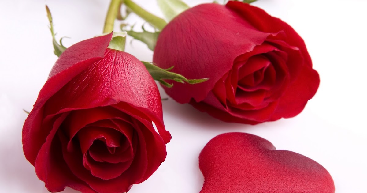 wallpaper: Wallpapers Of P.s. I Love You