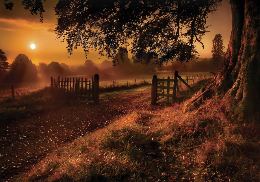 // شمس الخريف، للمصور المبدع ماك برلاند‎ // The+Dark+Hedges+By+Gary+McParland+autumn+sunrise+4