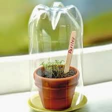 Tận dụng chai nhựa bỏ đi - 16