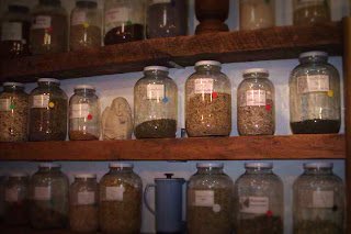 Witch Mom: Why I am an Herbalist (A Manifesto of Sorts)