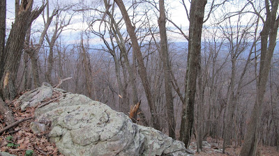 I think you'll lichen the view from up here