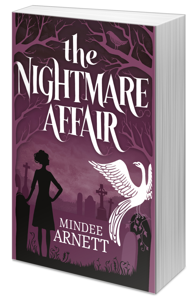 the nightmare affair series the nightmare affair series