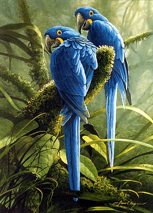 Pendidikan Seni Visual Idea Soalan 3 Unggas