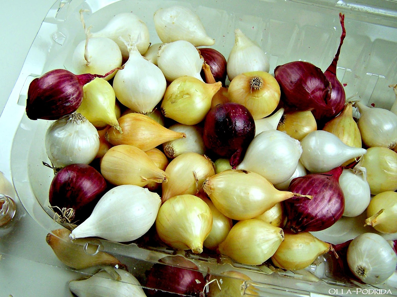 OllaPodrida How to Peel Pearl Onions