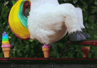 Unicorno.gif