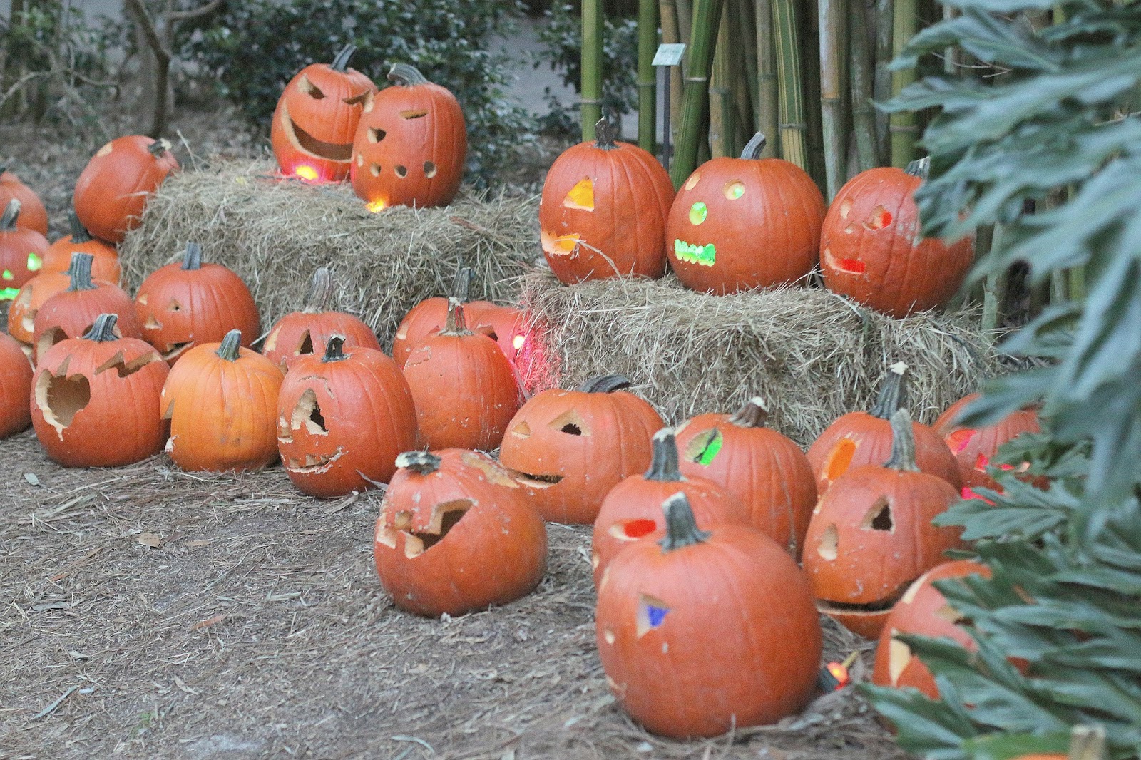 The HALLway Life. Love. Simply Creative Spooktacular at The