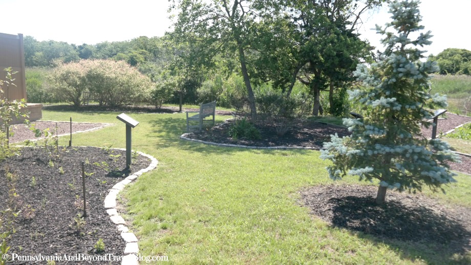 Pennsylvania & Beyond Travel Blog Visiting the Stone Harbor Bird Sanctuary