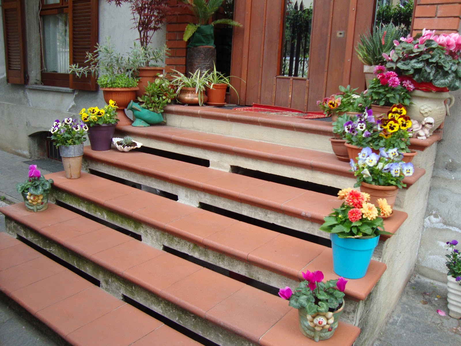 Un piccolo giardino in città : fiori e piante sulle scale di cittÃ