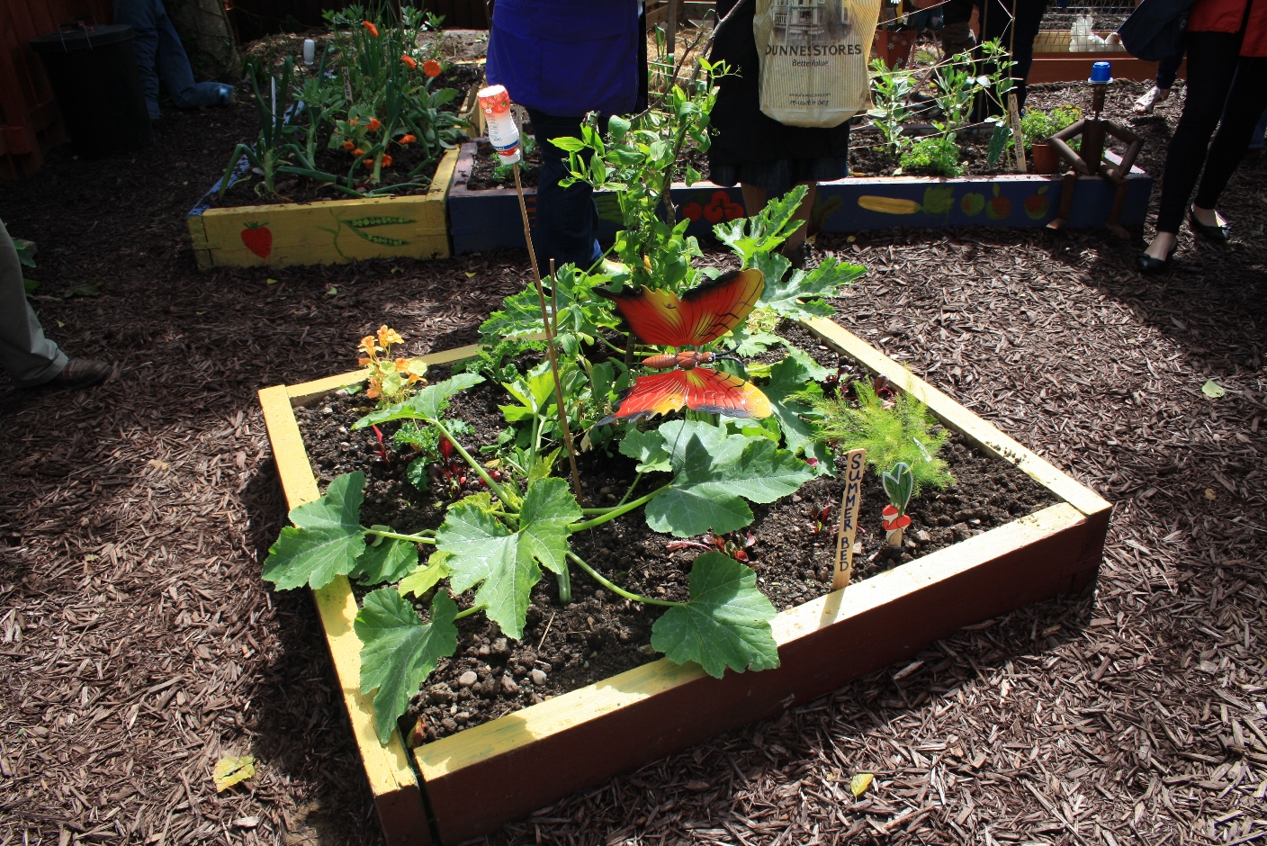 Organic Growing Pains: Hydro Allotments at Mallow Homes & Garden Festival