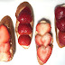 Cooking and Food Recipes: Strawberry Cheese Tartine Recipe - UPDATE!! Cooking and Food Recipes: Strawberry Cheese Tartine Recipe - UPDATE!!